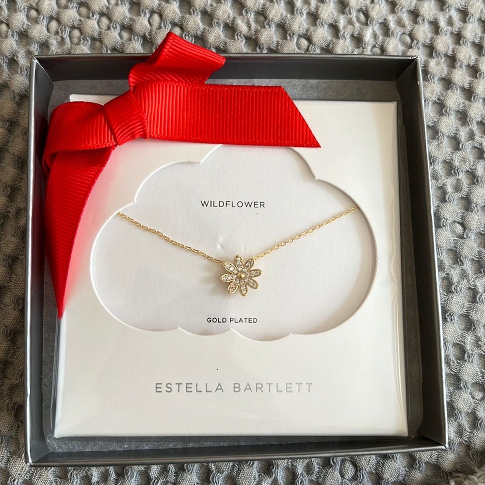 Estella Bartlett necklace
